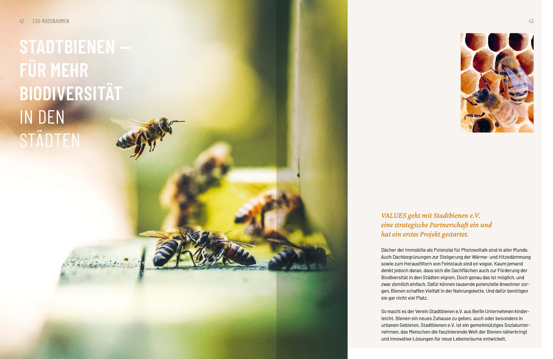 susannihlenfeld-editorialdesign-values-ESG-bericht-22